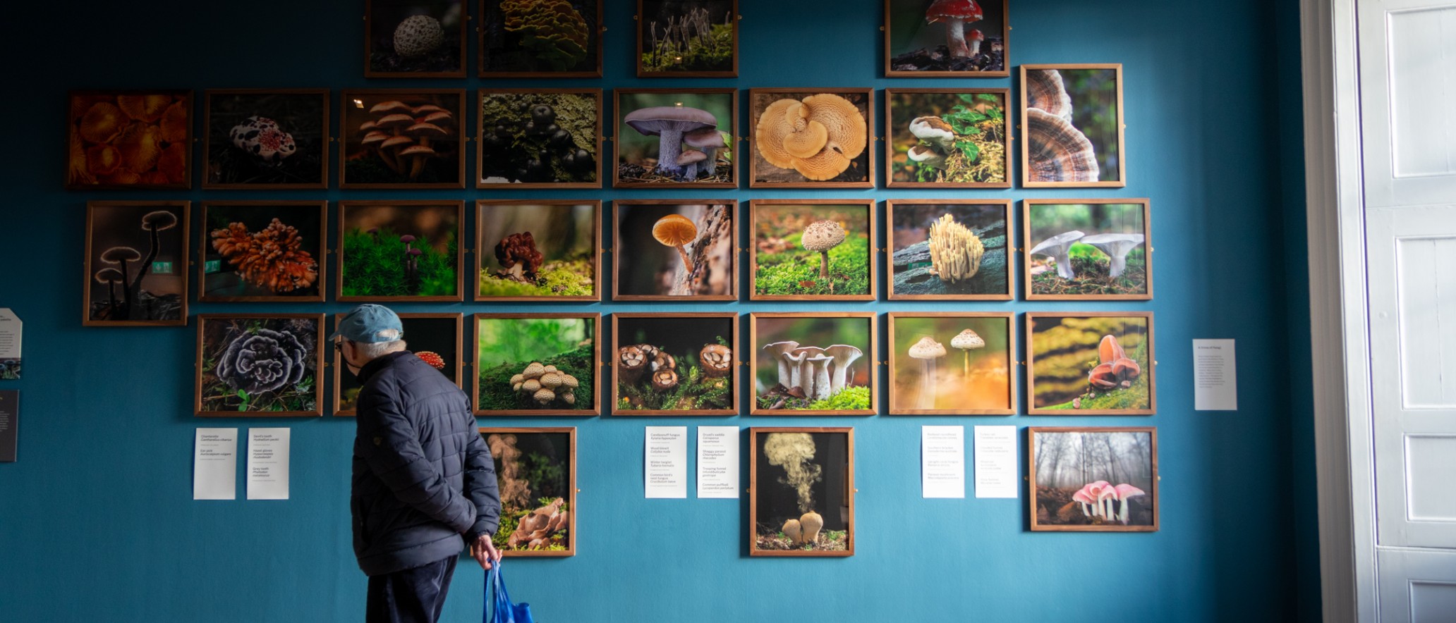 Exhibition frames